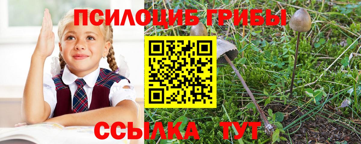 Галлюциногенные грибы мухоморы Дмитров