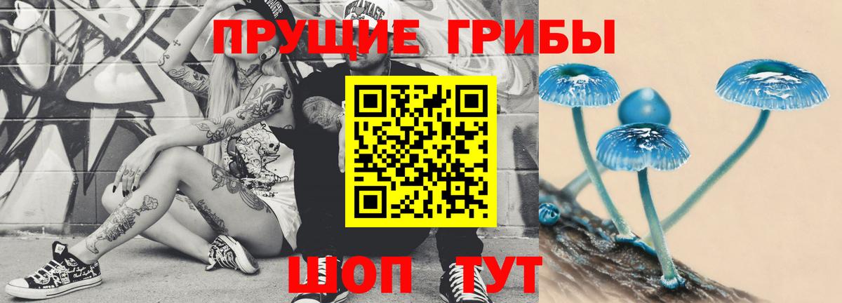 Галлюциногенные грибы прущие грибы  Вход с VPN  Дмитров 